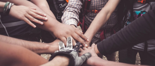 Mejores frases sobre la colaboracion