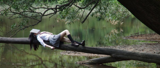 Mujer subida a una rama, leyendo.
