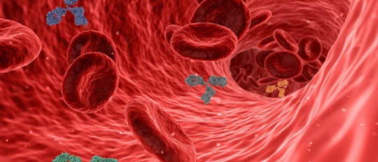 Cuáles son los cambios hormonales vinculados a la menopausia