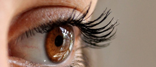 Es para mí la terapia EMDR