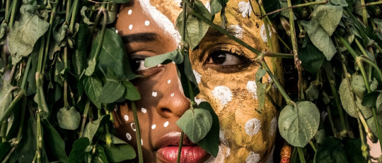 Antropología cognitiva