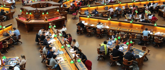 ¿Qué se estudia en Humanidades?