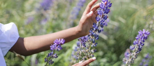 Cómo vivir mejor siendo una persona altamente sensible