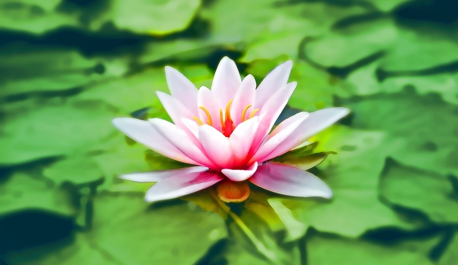 Los mejores Cursos de Mindfulness en Sabadell