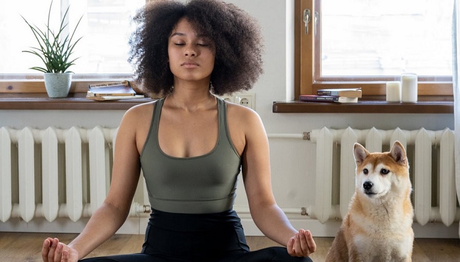 Los mejores Cursos de Meditación online