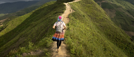 Las 24 fortalezas psicológicas según Martin Seligman