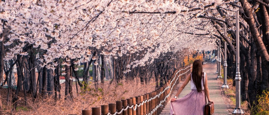 Hacia la Primavera: la vitalidad recuperada