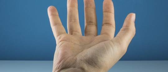 La fidelidad al alcance de tu mano