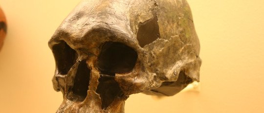 ¿Se cuidaba a las Personas con Discapacidad en la Prehistoria?