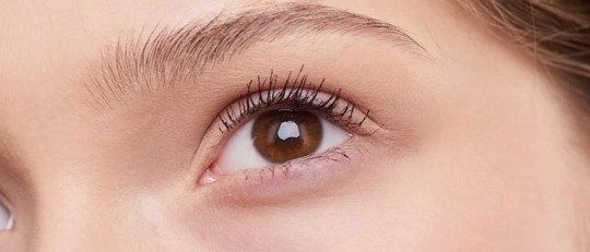 Técnicas de Reprocesamiento Cerebral para trabajar el Trauma