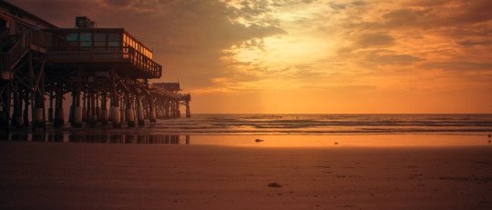 Las 7 mejores leyendas urbanas de Florida (USA)