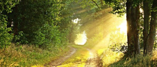 Efectos beneficiosos para el bienestar del aumento de horas de luz solar