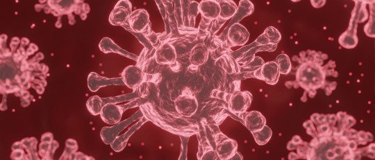 curiosidades-microbiologia