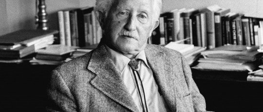 Erik Erikson