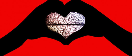 Neurobiología del amor: la teoría de los 3 sistemas cerebrales