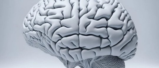 ¿Es posible ser adicto a la Dopamina?