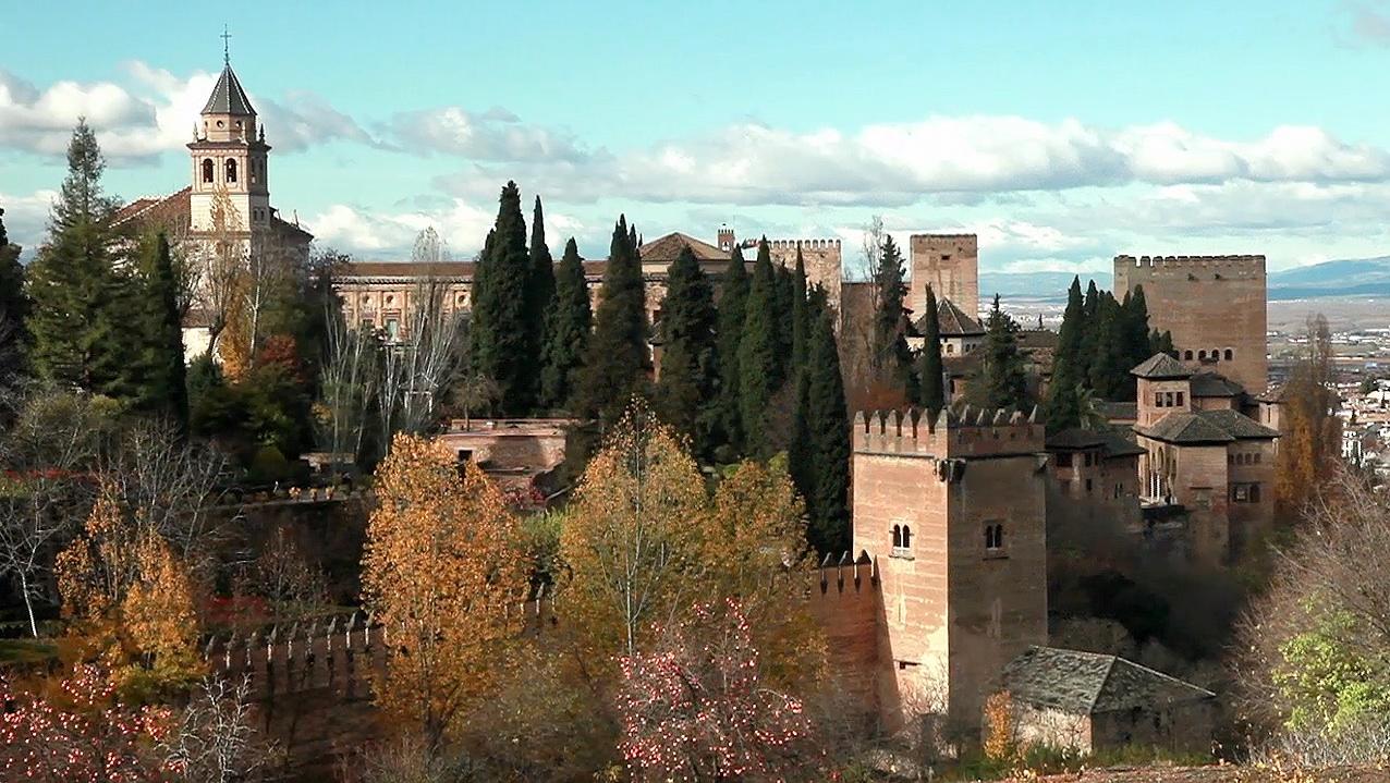 Psicólogos Forenses en Granada