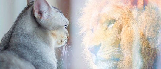 como-se-construye-autoestima