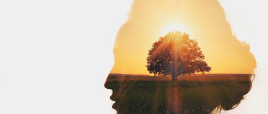 resolucion-conflictos-constructiva