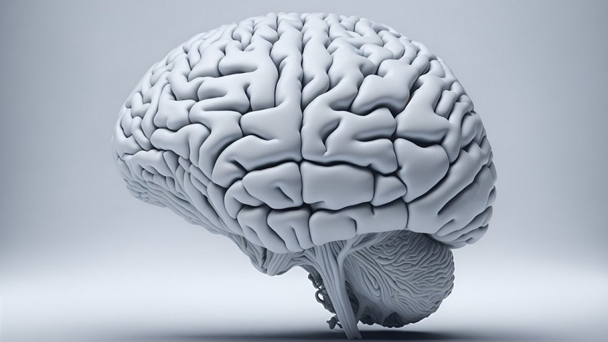 Las parejas tienen cerebros sincronizados a nivel neuronal