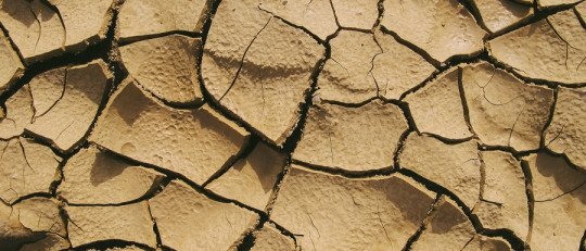 ¿Cuáles son los efectos psicológicos del Cambio Climático?