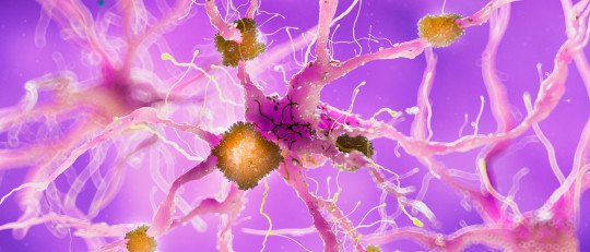 sistema-nervioso-mundo-emocional