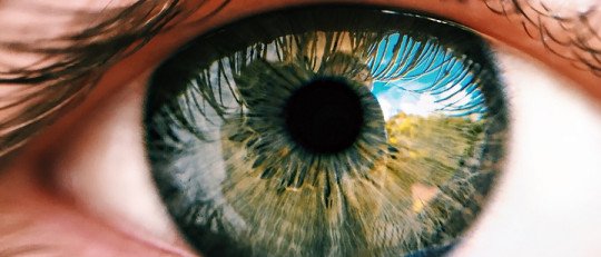 ¿En qué problemas se aplica la Terapia EMDR?