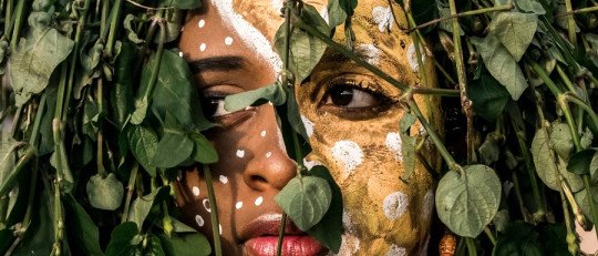 Psicología Transcultural