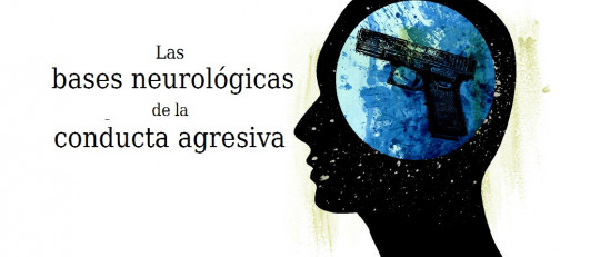 Las bases neurológicas de la conducta agresiva