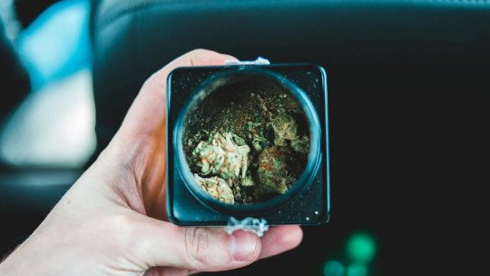 ¿Están los jóvenes consumiendo Cannabis para Automedicarse?