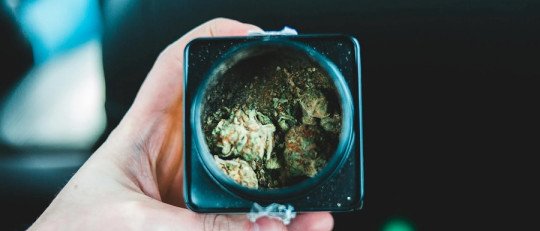 ¿Están los jóvenes consumiendo Cannabis para Automedicarse?