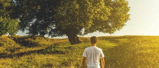 Ansiedad Medioambiental