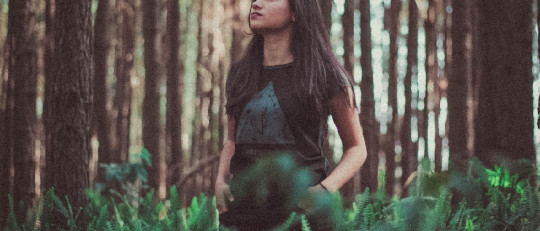 curiosidades memoria