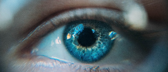 preguntas sobre psicología