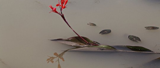 como-navegar-travesia-duelo