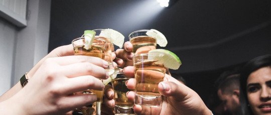 Los efectos del Alcohol en el desarrollo del Lóbulo Frontal