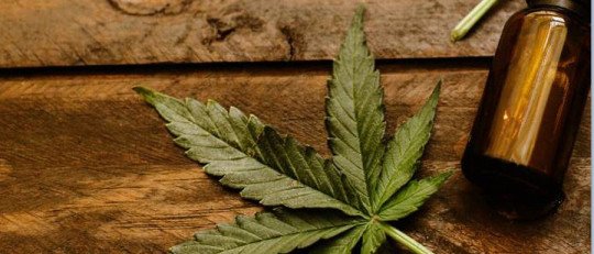 ¿Por qué el CBD es un remedio útil para el tratamiento de afecciones psicológicas?