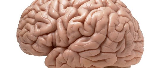 Los efectos de las Drogas en el desarrollo del Lóbulo Frontal