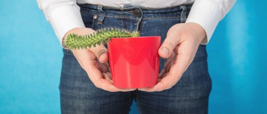 disfuncion-erectil-psicologica-como-tratarse