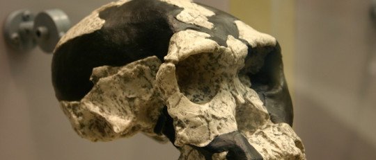 ¿Por qué el Ser Humano es bípedo?