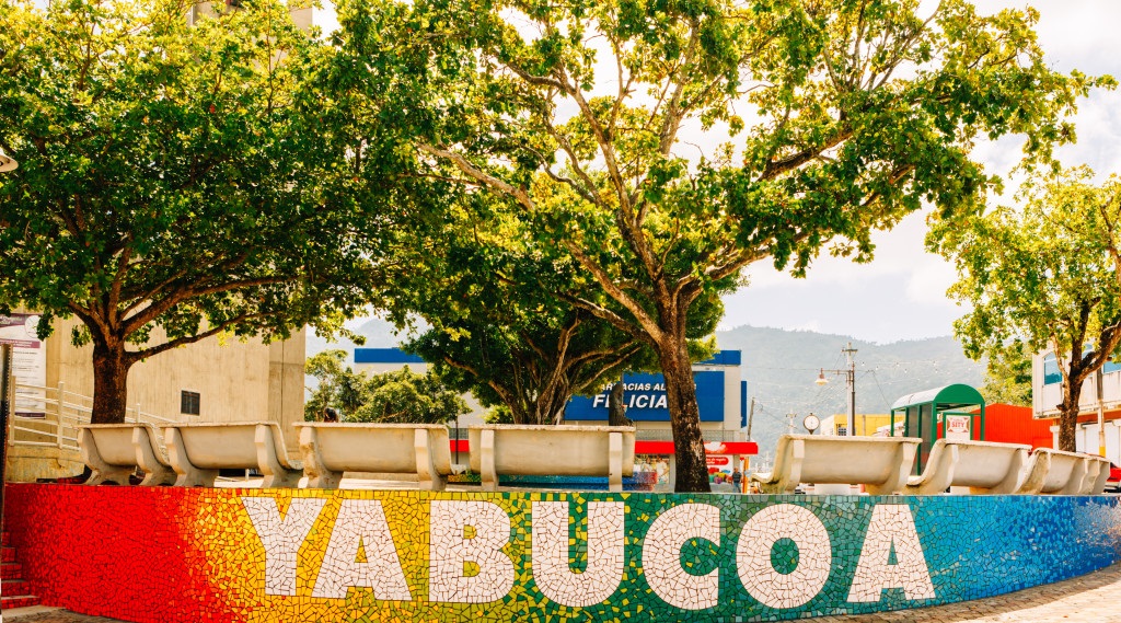 Psicólogos en Yabucoa (Puerto Rico)