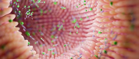 como-microbiota-influencia-bienestar-mental