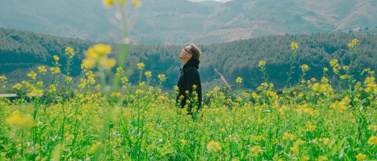 como-crear-vida-tus-sueños