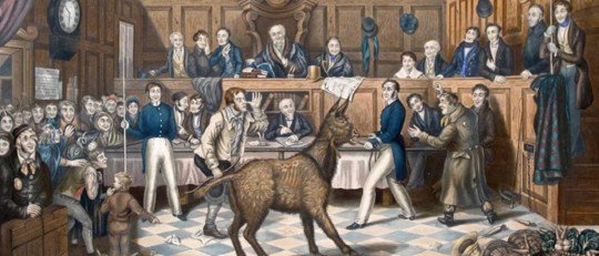animales-llevados-a-juicio