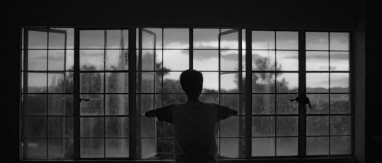 pertenencia-frustrada-relacion-suicidio