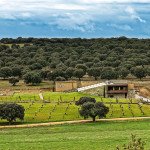 Hacienda Zorita Organic Farm (Salamanca, Castilla y León)