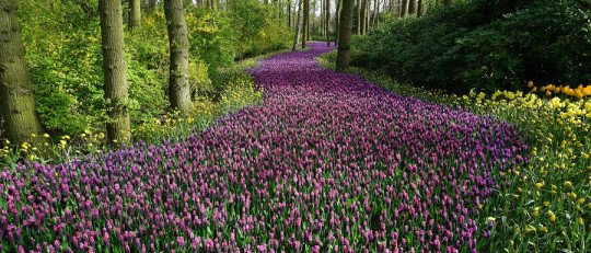 ¿Cómo nos influye el cambio de estación con la Primavera?