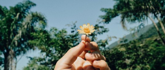 tecnica-5-pasos-superar-tristeza