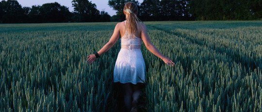 como-fluir-adversidad-estrategias-fortalecer-resiliencia