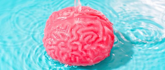 se-puede-vivir-sin-parte-cerebro